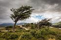 003 Argentinie, Tierra del Fuego